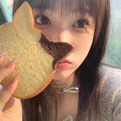 藏獒情未了